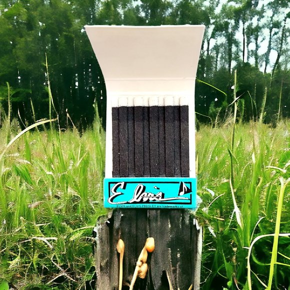 RARE 90s "Elvis Presley" Matches/unstruck Matchbook - Picture 4 of 4